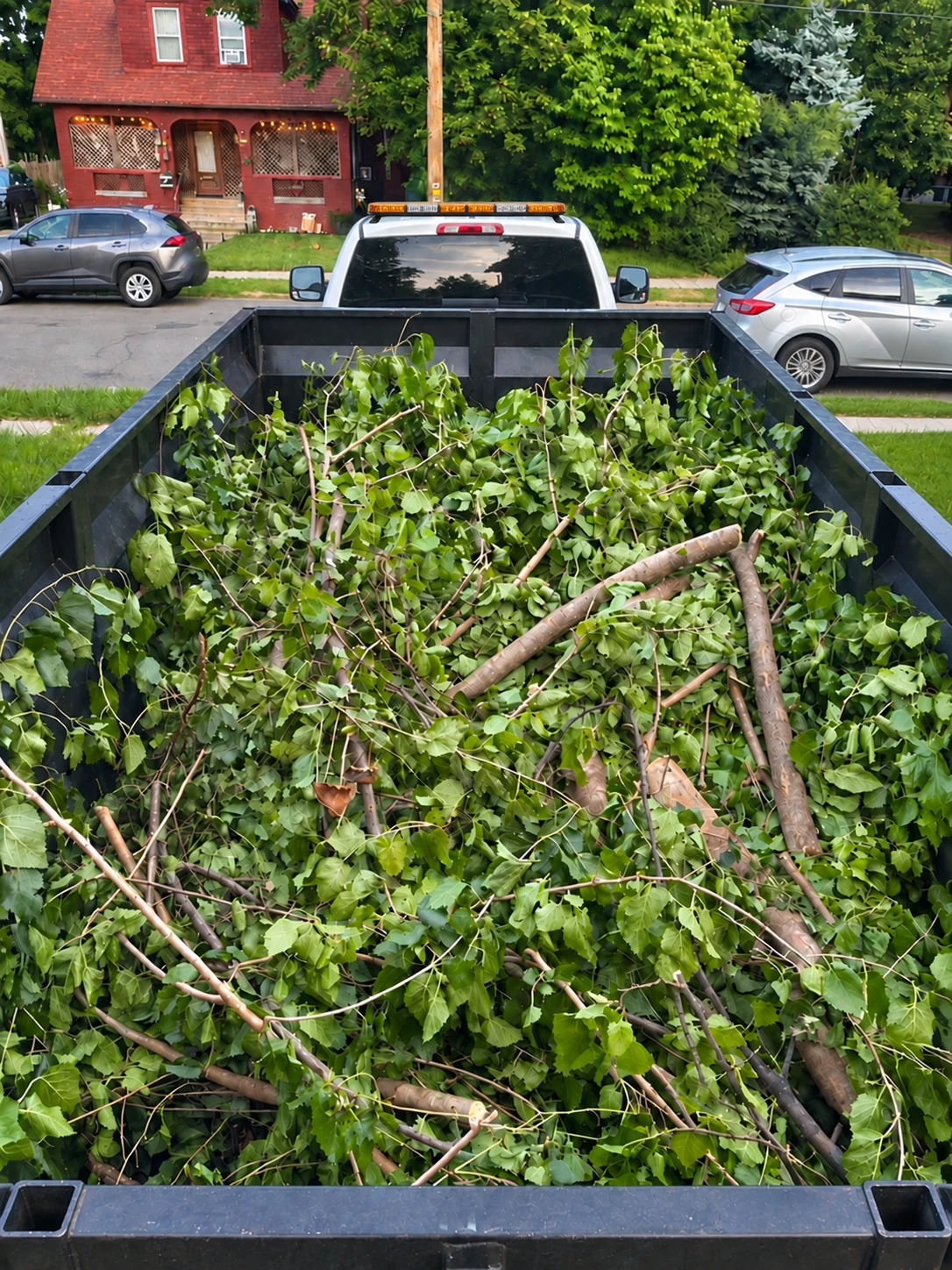 Tree debris loaded in a dump trailer for hauling